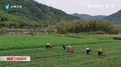 十大网赌平台信誉排行榜